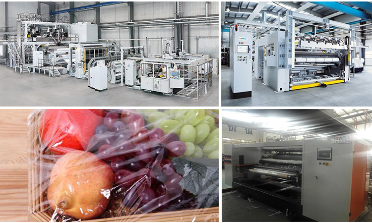 PVC,PVDC Wrap Film,Cling Film Extrusion Line